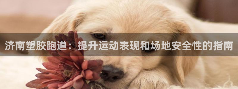 百度红足一1是干什么的：济南塑胶跑道：提升运动表现和场地安全性的指南