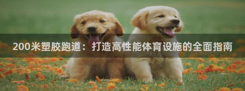 红足1一世：200米塑胶跑道：打造高性能体育设施的全面指南