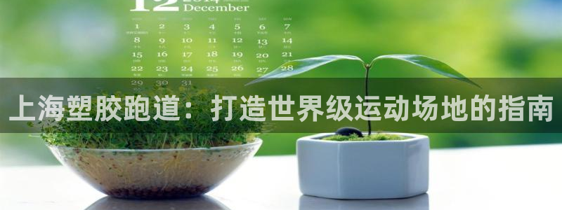 红足1世手足球比分：上海塑胶跑道：打造世界级运动场地的指南