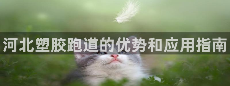 百度红足一1是为什么