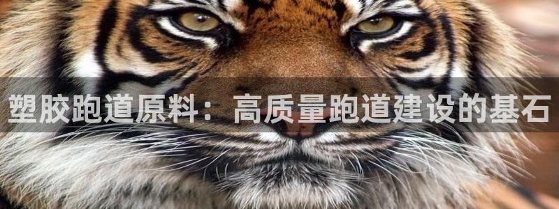红足一：塑胶跑道原料：高质量跑道建设的基石