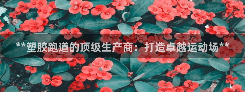 红足一1世手机皇冠：**塑胶跑道的顶级生产商：打造卓越运动场**