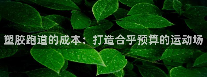 红足1世官网：塑胶跑道的成本：打造合乎预算的运动场
