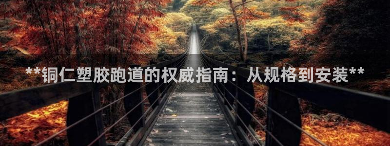 红足一1世比分：**铜仁塑胶跑道的权威指南：从规格到安装**