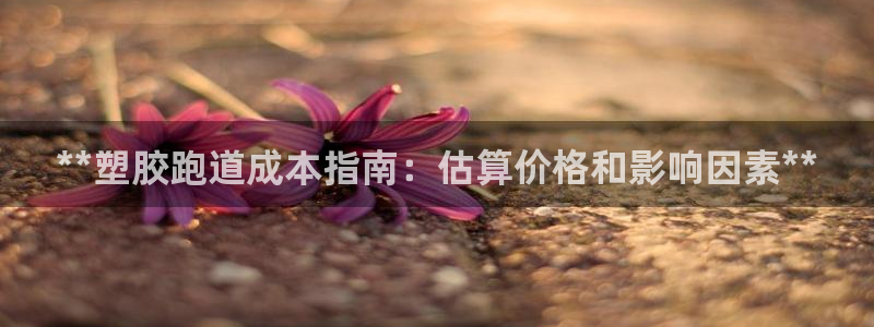 333814红足1世：**塑胶跑道成本指南：估算价格和影响因素**