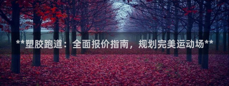 红足一1世666814足球：**塑胶跑道：全面报价指南，规划完美运动场**