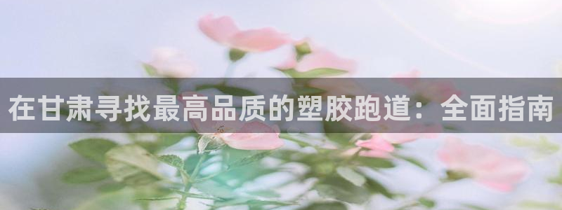 红足一1世66814：在甘肃寻找最高品质的塑胶跑道：全面指南
