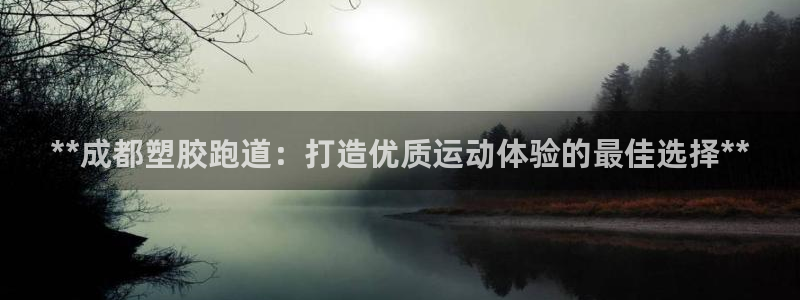 红足一1世官网足球推荐真人：**成都塑胶跑道：打造优质运动体验的最佳选择**