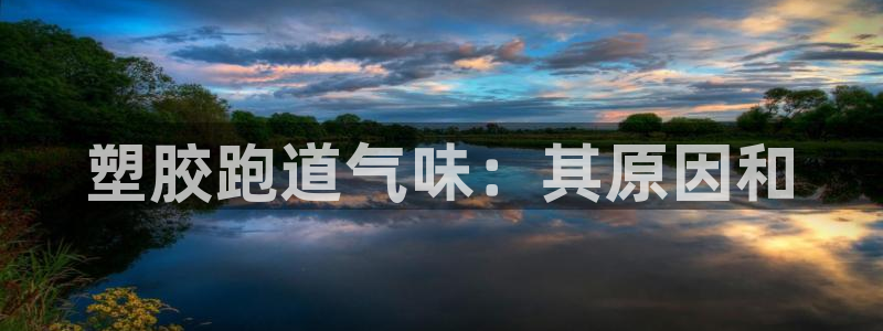 77814红足1世：塑胶跑道气味：其原因和