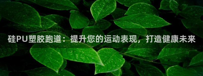 红足一1世666814最新结果：硅PU塑胶跑道：提升您的运动表现，打造健康未来