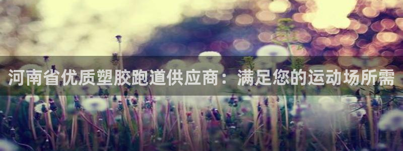 红足体育网：河南省优质塑胶跑道供应商：满足您的运动场所需