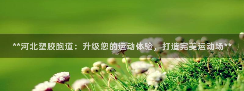 红足一一世：**河北塑胶跑道：升级您的运动体验，打造完美运动场**