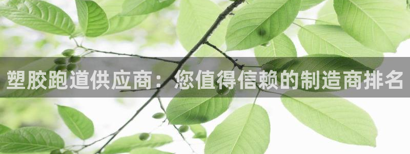 红足1世足球比分网址：塑胶跑道供应商：您值得信赖的制造商排名