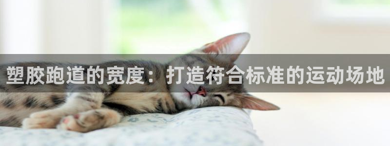 红足1世手机版下载：塑胶跑道的宽度：打造符合标准的运动场地