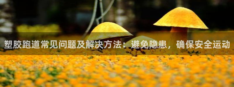 红足一1世手机版赛果：塑胶跑道常见问题及解决方法：避免隐患，确保安全运动