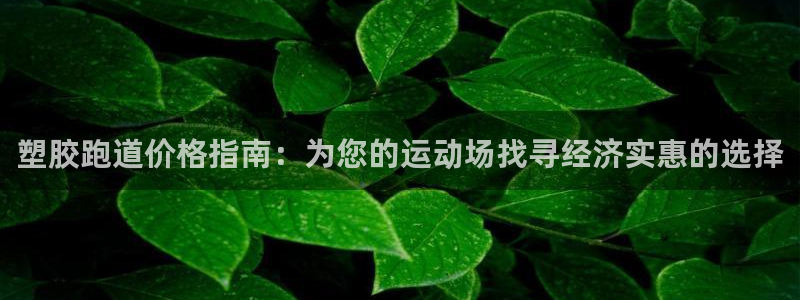 红足一球：塑胶跑道价格指南：为您的运动场找寻经济实惠的选择
