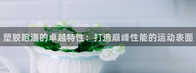 红足一1世平台：塑胶跑道的卓越特性：打造巅峰性能的运动表面