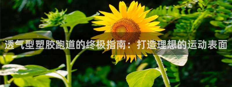 66814红足一66814世：透气型塑胶跑道的终极指南：打造理想的运动表面