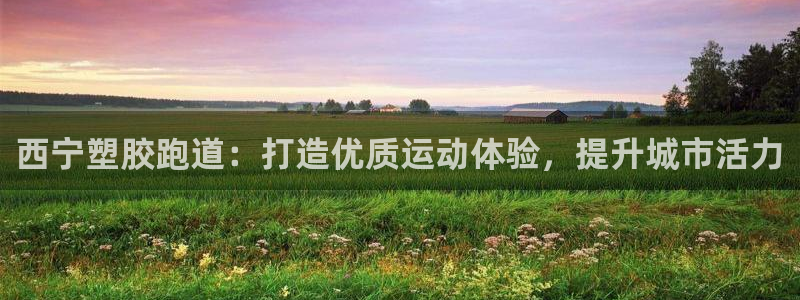 红足l一世开奖现场62ty：西宁塑胶跑道：打造优质运动体验，提升城市活力