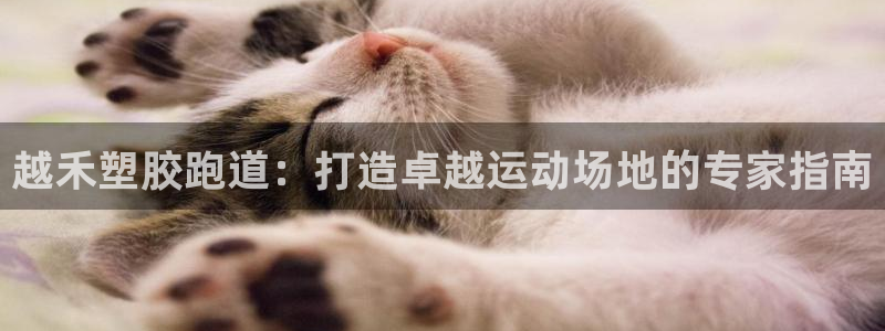 红足一1世平台：越禾塑胶跑道：打造卓越运动场地的专家指南