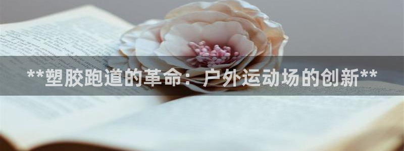 红足1世足球比分 localhost：**塑胶跑道的革命：户外运动场的创新**