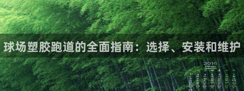 红足1世手机版下载：球场塑胶跑道的全面指南：选择、安装和维护