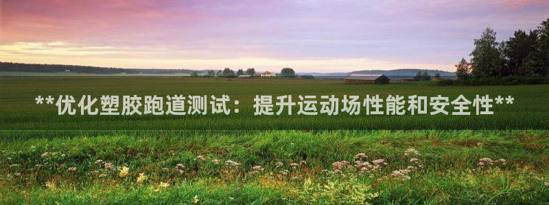 红足1世足球比分网址：**优化塑胶跑道测试：提升运动场性能和安全性**