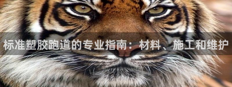 百度红足一1使用说明：标准塑胶跑道的专业指南：材料、施工和维护