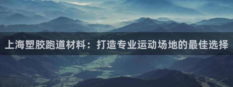 44814红足：上海塑胶跑道材料：打造专业运动场地的最佳选择