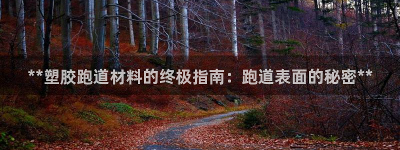 红足1世手足球比分：**塑胶跑道材料的终极指南：跑道表面的秘密**
