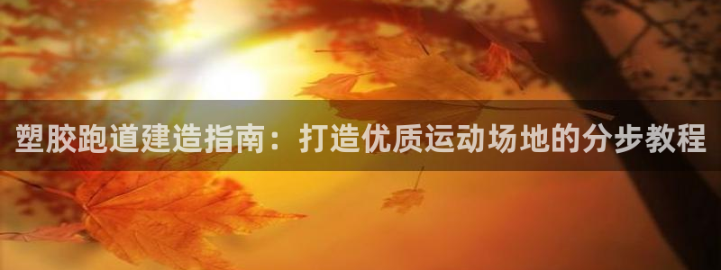 红足 世足球手机网：塑胶跑道建造指南：打造优质运动场地的分步教程