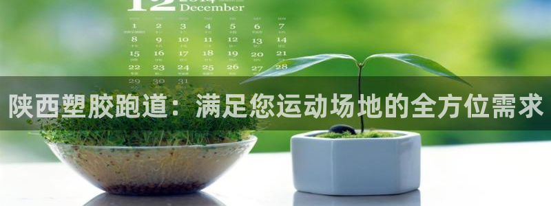 红姐现场直播开奖记录：陕西塑胶跑道：满足您运动场地的全方位需求