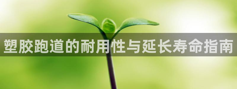 红足 世足球手机网：塑胶跑道的耐用性与延长寿命指南