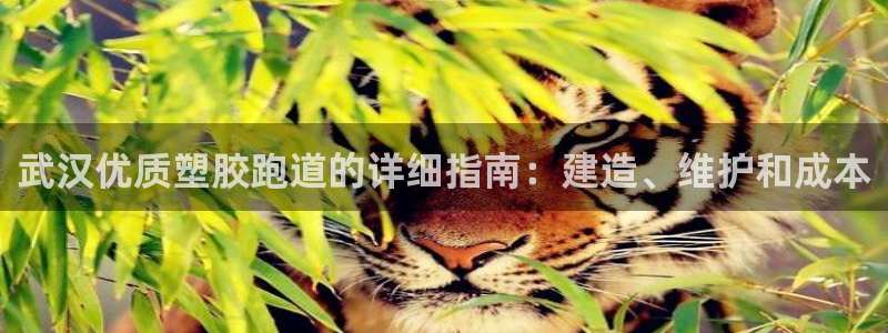 红足网足球直播：武汉优质塑胶跑道的详细指南：建造、维护和成本