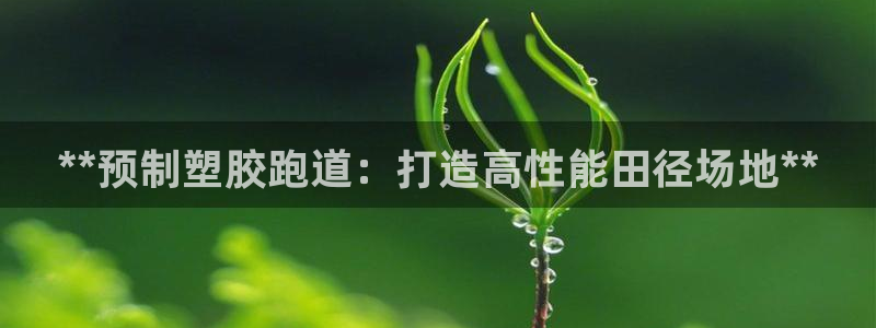 红足一1世皇冠地址：**预制塑胶跑道：打造高性能田径场地**