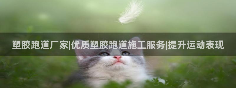 红足一1世77814：塑胶跑道厂家|优质塑胶跑道施工服务|提升运动表现