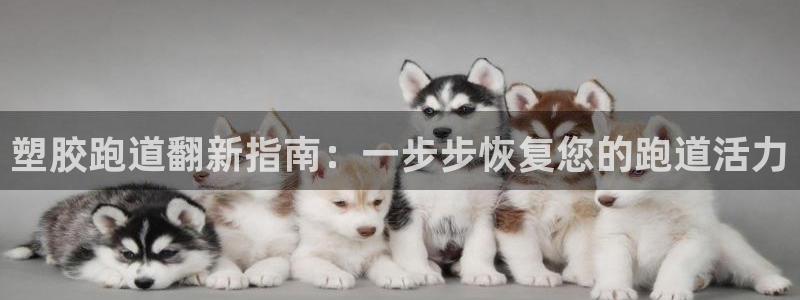 4633333开奖结果4176一点红：塑胶跑道翻新指南：一步步恢复您的跑道活力