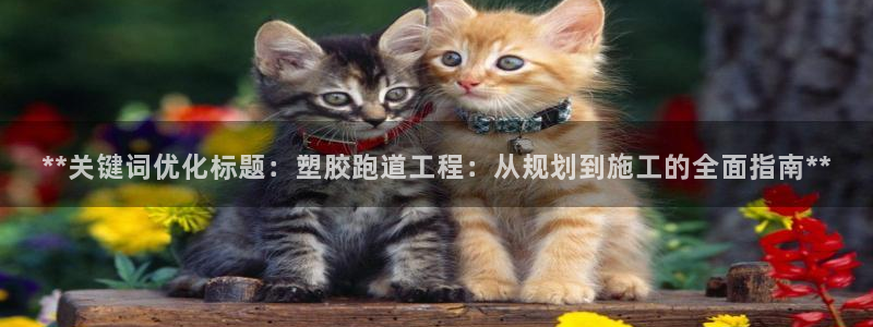 新2足球平台出租网站：**关键词优化标题：塑胶跑道工程：从规划到施工的全面指南**