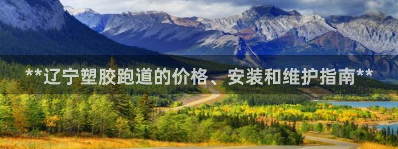 红足一1世66814：**辽宁塑胶跑道的价格、安装和维护指南**