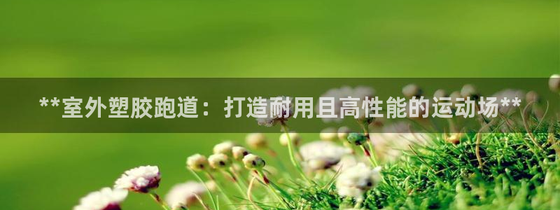 红足一1世官网足球推荐真人：**室外塑胶跑道：打造耐用且高性能的运动场**