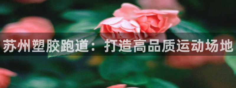 红足1世足球网址：苏州塑胶跑道：打造高品质运动场地