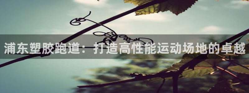 红世一足球比分：浦东塑胶跑道：打造高性能运动场地的卓越
