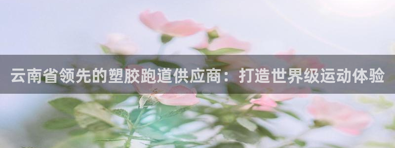 红足1世1站：云南省领先的塑胶跑道供应商：打造世界级运动体验