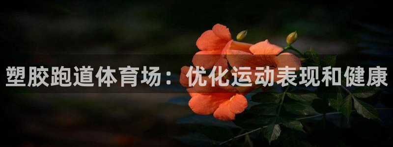 红足一1世官网：塑胶跑道体育场：优化运动表现和健康