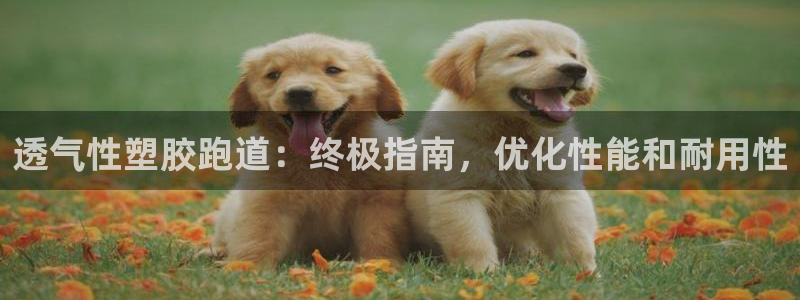 百度红足一1视频在线观看：透气性塑胶跑道：终极指南，优化性能和耐用性