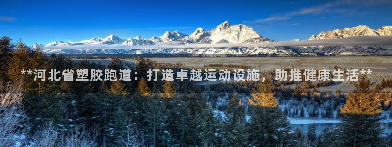 红足一1世66814新宝：**河北省塑胶跑道：打造卓越运动设施，助推健康生活**