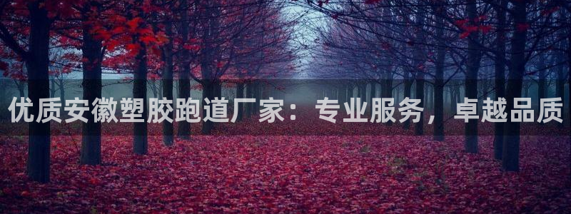 红足 世足球手机网：优质安徽塑胶跑道厂家：专业服务，卓越品质