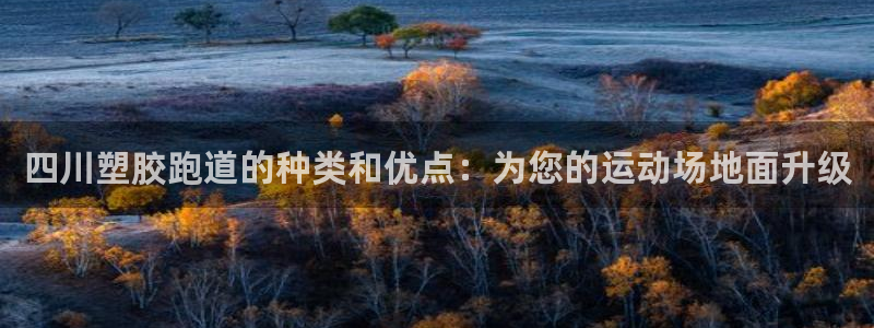 红足1世足球比分：四川塑胶跑道的种类和优点：为您的运动场地面升级