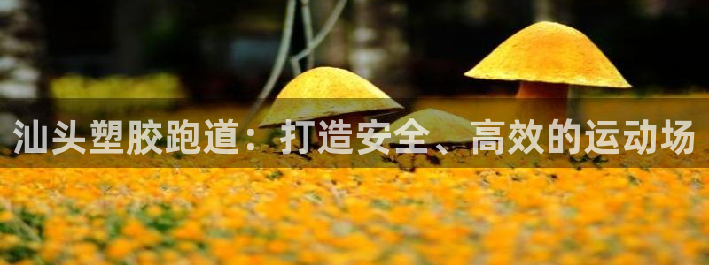 百度红足一1是为什么：汕头塑胶跑道：打造安全、高效的运动场