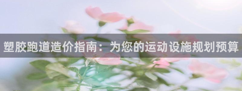 红足一1世皇冠地址：塑胶跑道造价指南：为您的运动设施规划预算